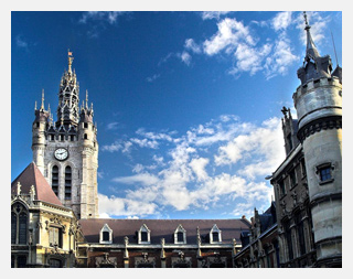 Dératisation Douai, Nid de guêpes à Douai